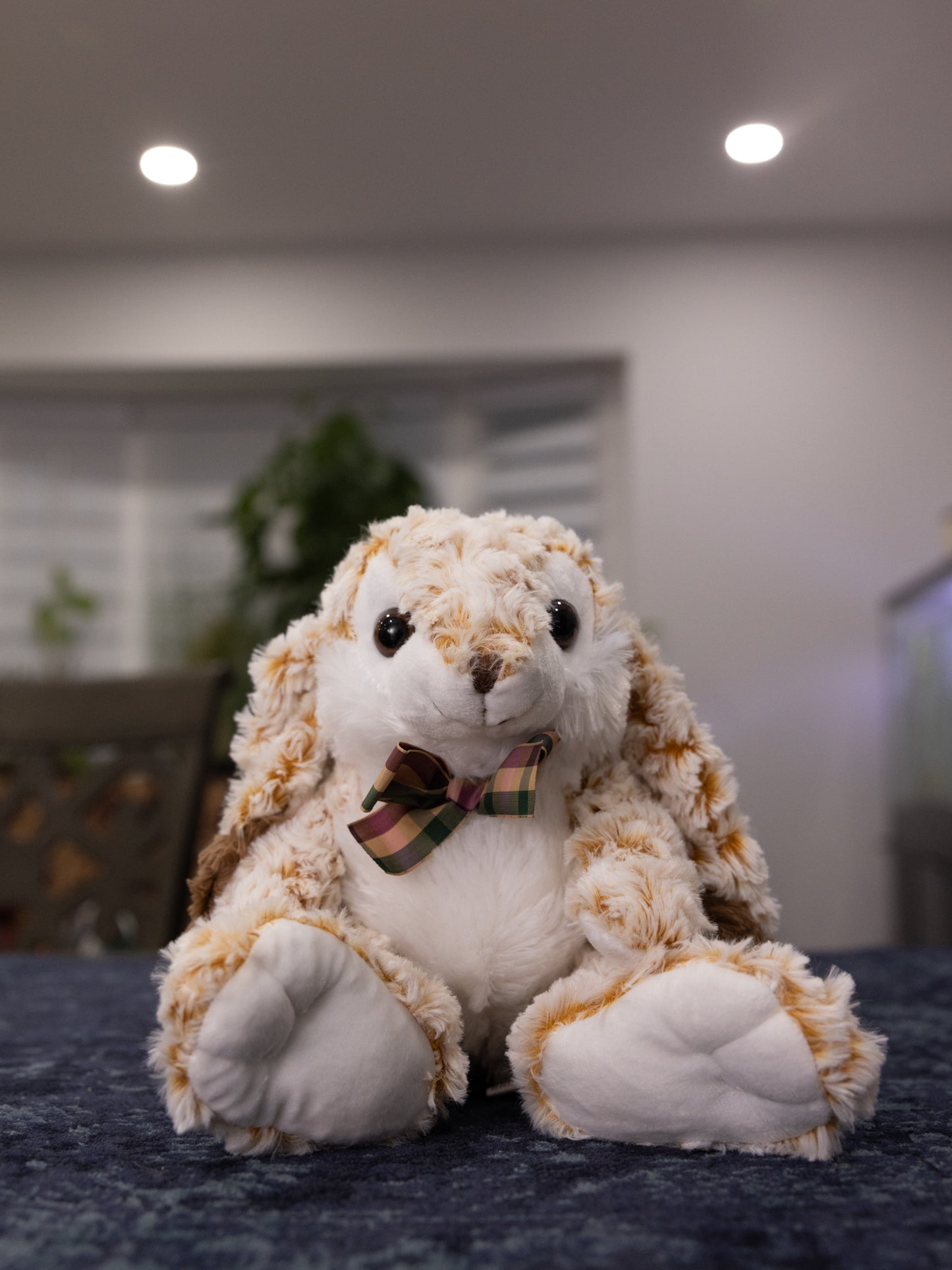 Stuffies